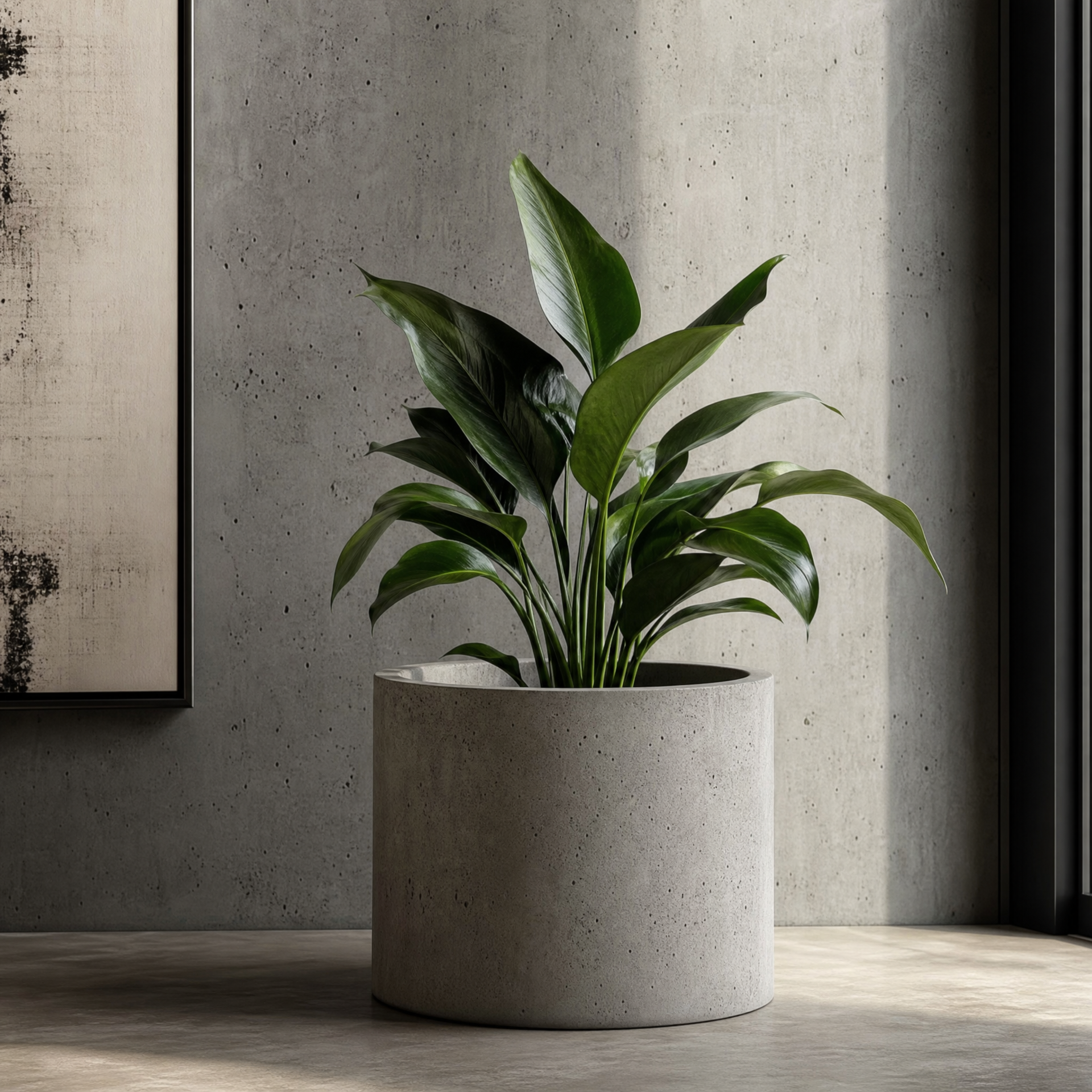 7 Exceptional Reasons buildhub.click Colored Decorative Cement Is the Best Choice for Architectural Concrete Finishes